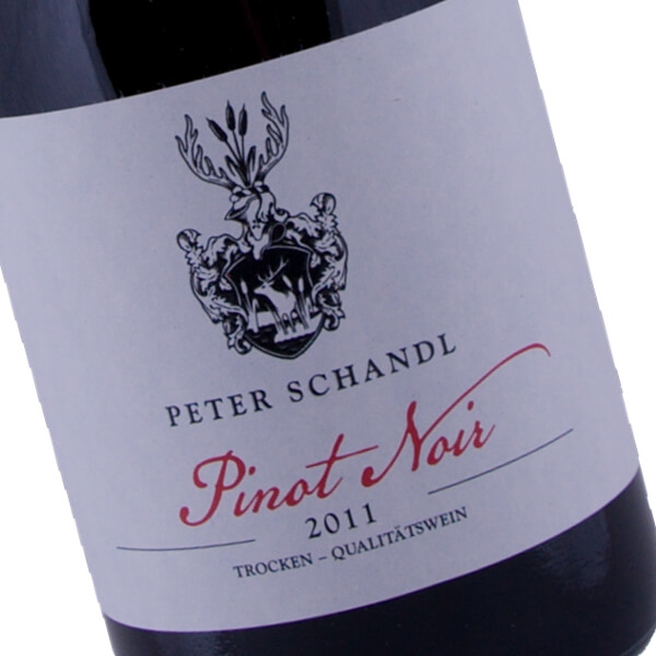 Pinot Noir 2011 (Peter Schandl)