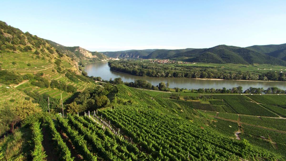 Wachau - panorama