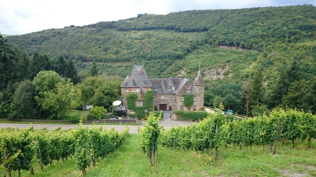 Schloss Marienlay - sídlo vinařství Reichsgraf von Kesselstatt