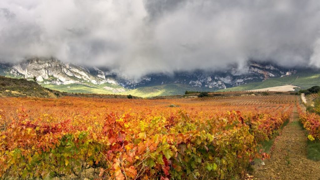 Rioja - vinice a krajina
